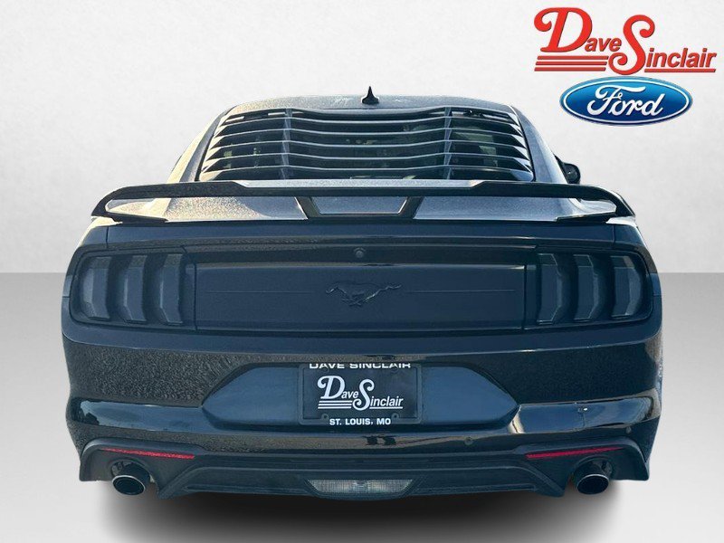Used 2023 Ford Mustang Premium w/ Equipment Group 201A image 8