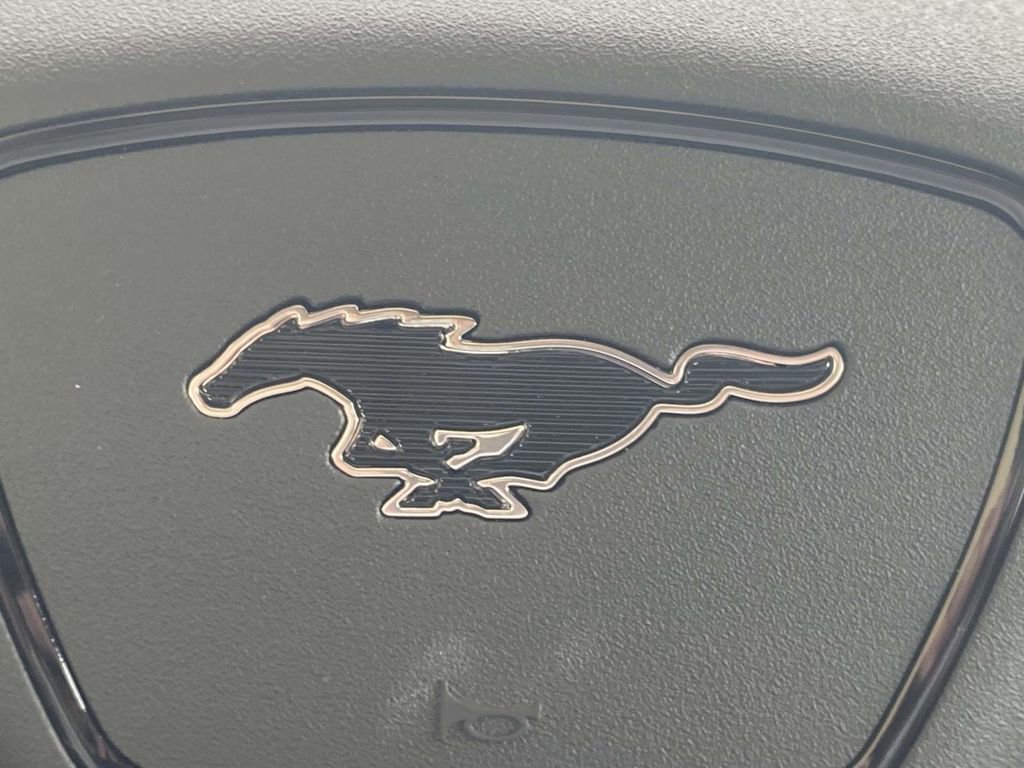 New 2025 Ford Mustang Mach-E Premium image 25