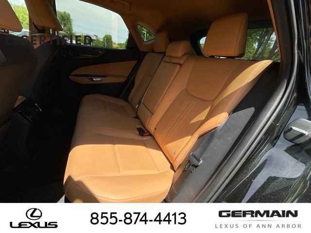 Used 2025 Lexus NX 350h AWD w/ Cold Area Package image 13