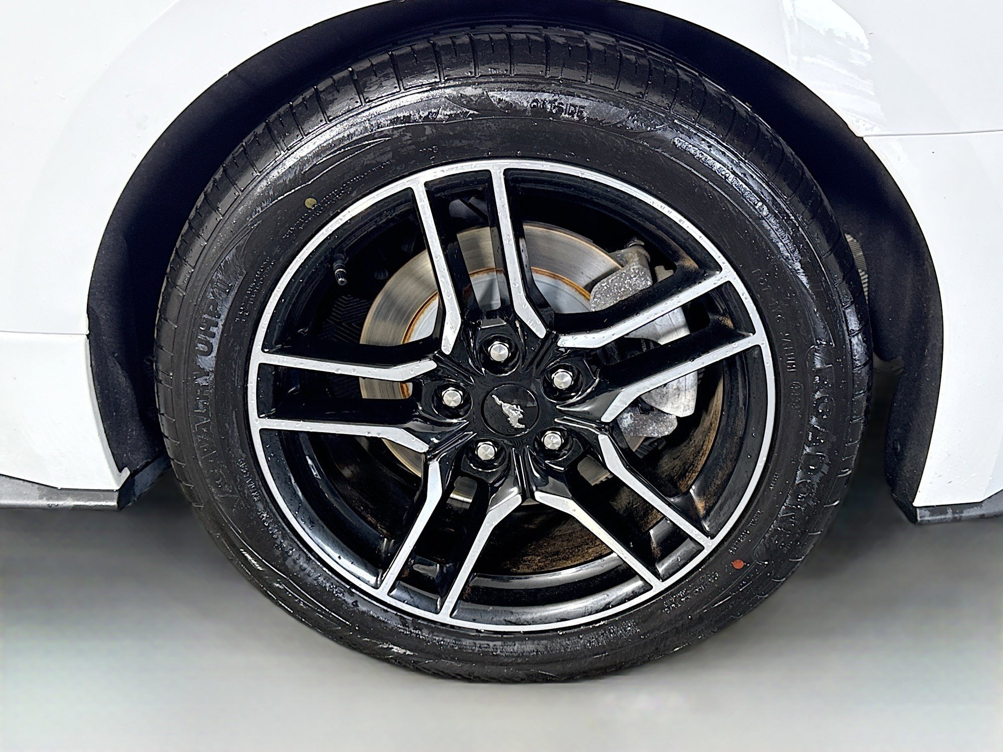 Used 2022 Ford Mustang Premium RWD image 35