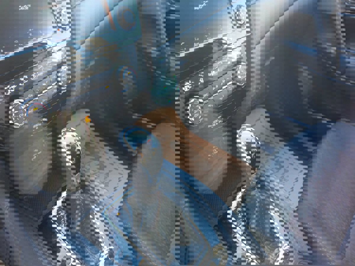 Used 2019 Nissan Rogue SV image 14