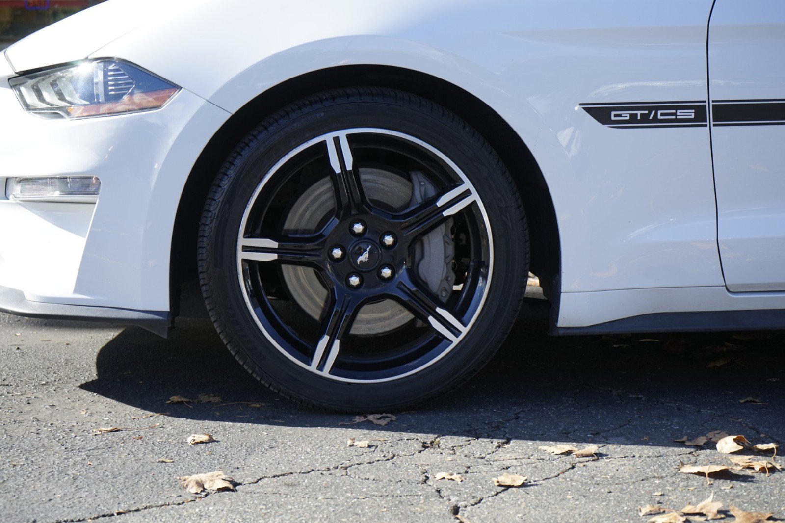 Used 2021 Ford Mustang GT Premium w/ California Special Package image 12