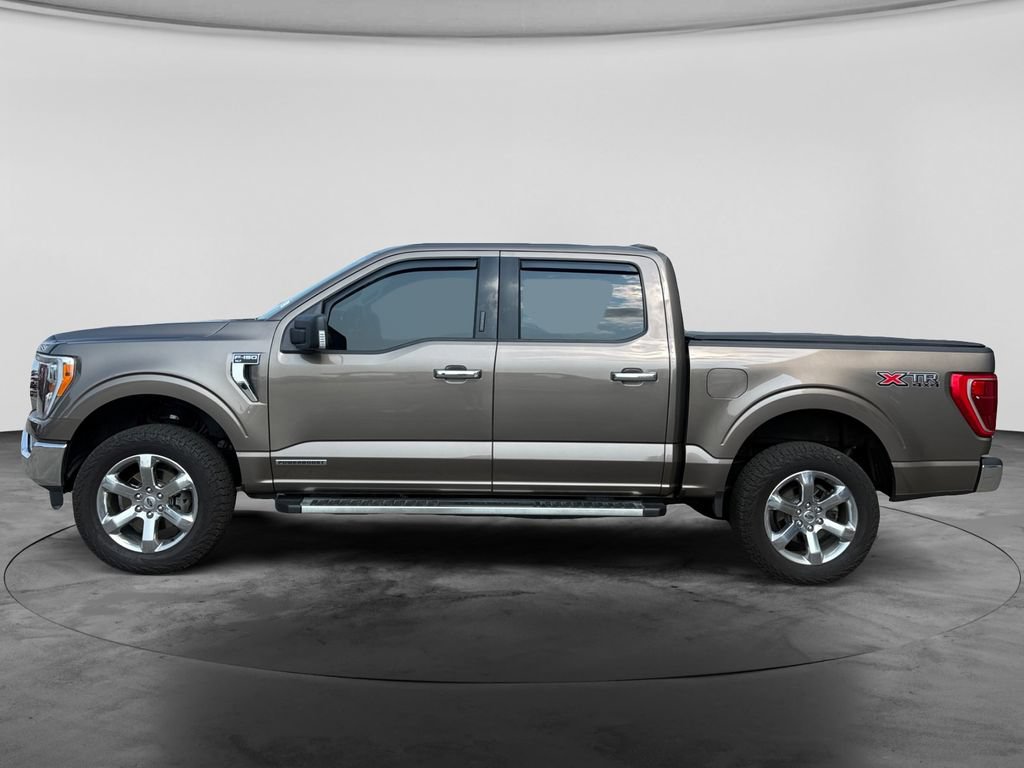 Used 2023 Ford F150 XLT w/ Equipment Group 302A High AWD/4WD image 5
