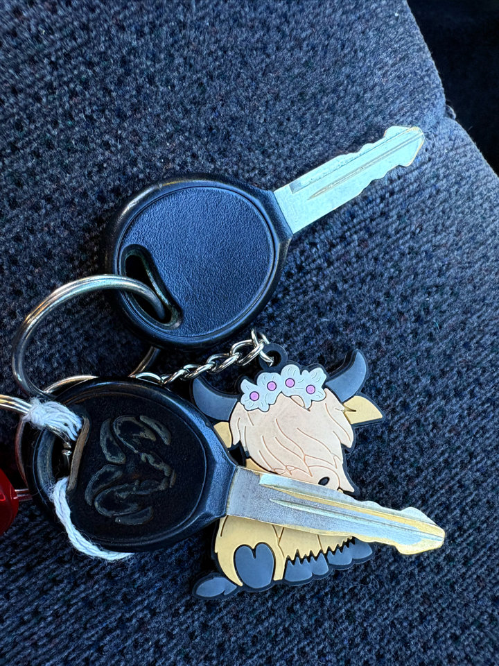 Used 2004 Dodge Dakota 2WD Club Cab w/ Tire & Handling Group image 54