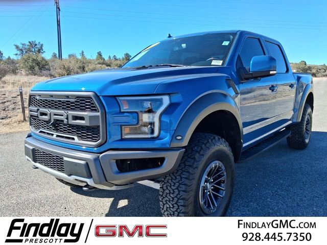 Used 2019 Ford F150 Raptor w/ Equipment Group 802A Luxury image 1