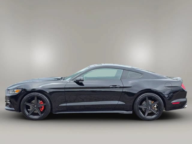 Used 2017 Ford Mustang Coupe w/ Equipment Group 051A RWD image 8