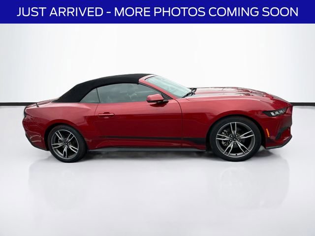 Used 2024 Ford Mustang Premium RWD image 9