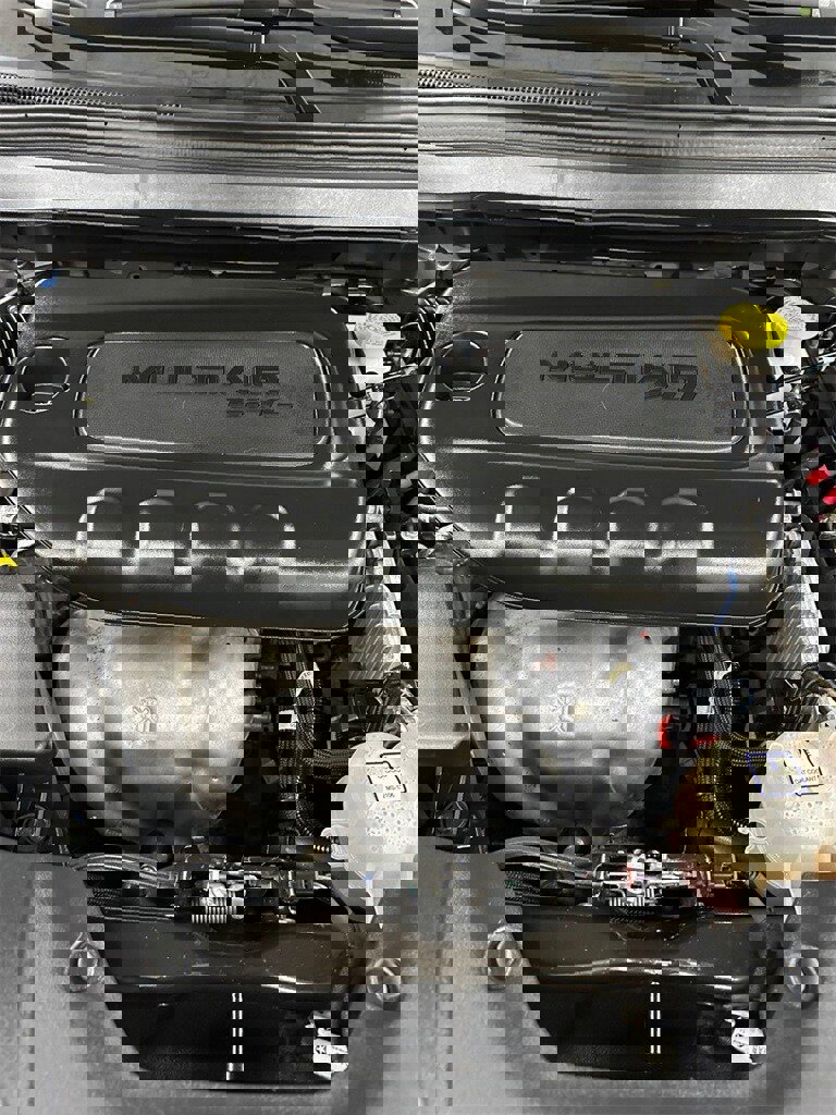 Used 2019 Jeep Cherokee Latitude Plus w/ Comfort/Convenience Group image 7