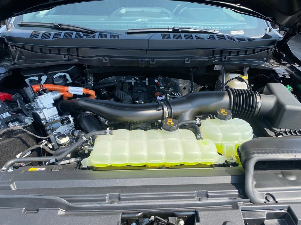 New 2025 Ford F150 Platinum image 34