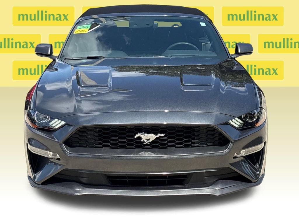 Used 2019 Ford Mustang Premium w/ Equipment Group 201A RWD image 14