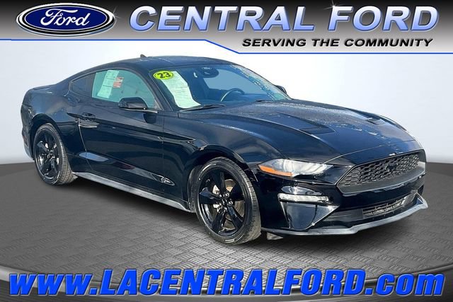 Certified 2023 Ford Mustang EcoBoost w/ Mustang Nite Pony Package
