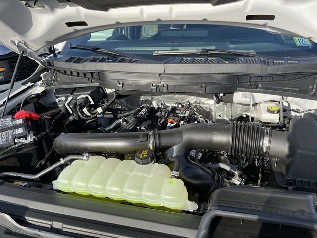 New 2025 Ford F150 Tremor w/ Equipment Group 402A High image 11