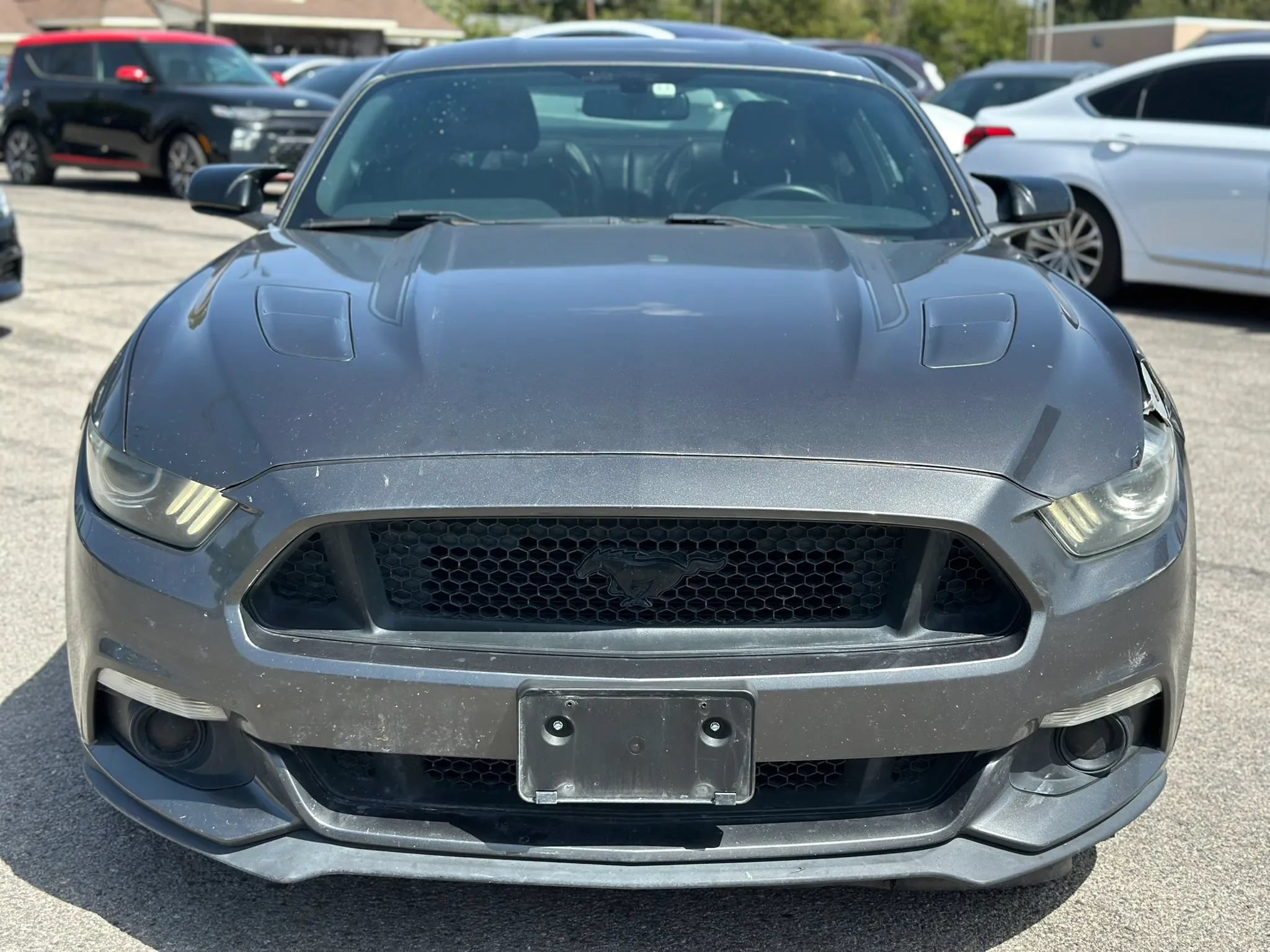 Used 2015 Ford Mustang GT Premium w/ Equipment Group 401A RWD image 2