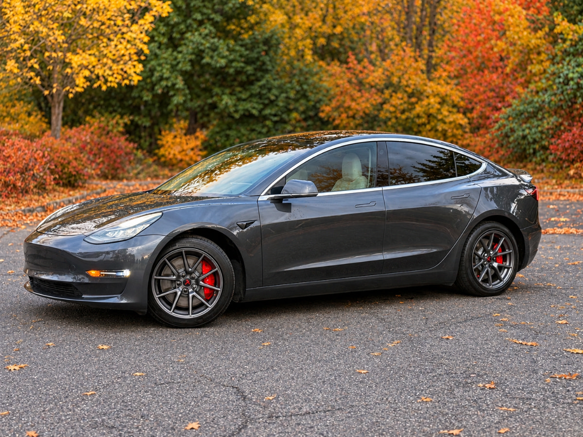 Used 2018 Tesla Model 3 Performance AWD/4WD image 7