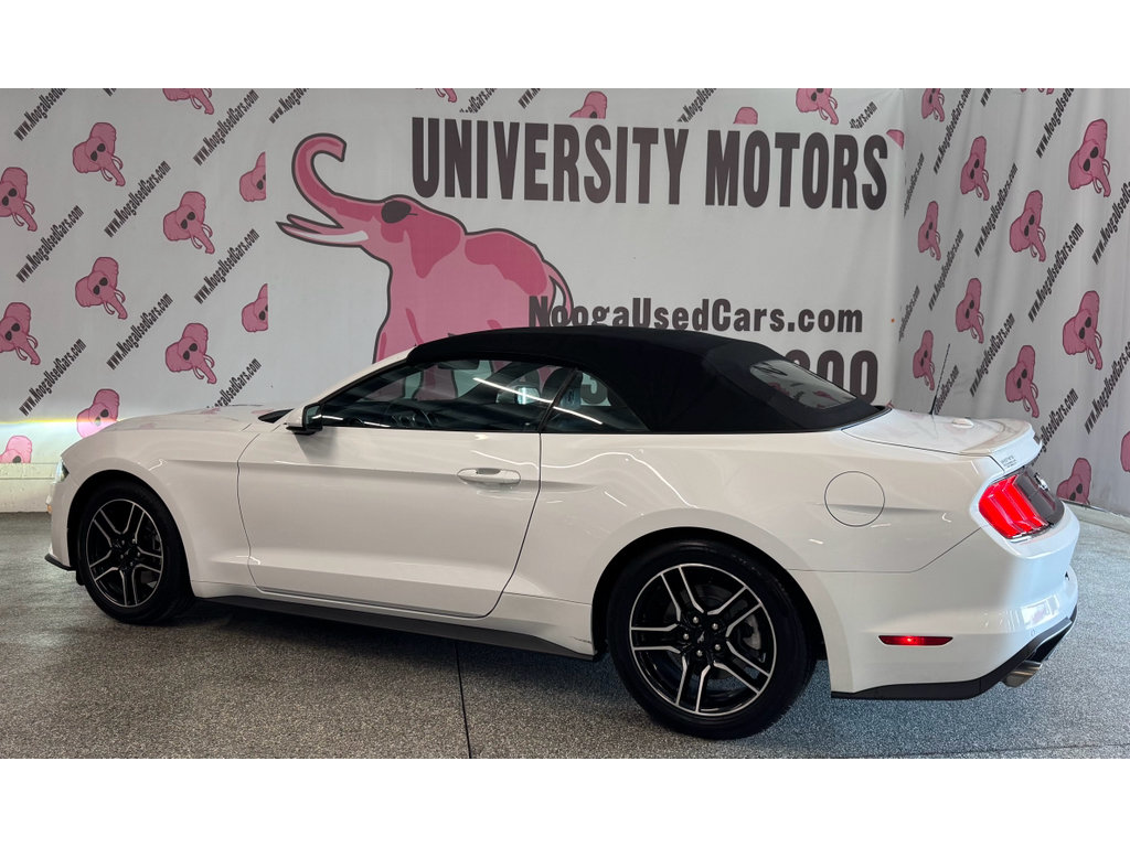 Used 2022 Ford Mustang Premium RWD image 14