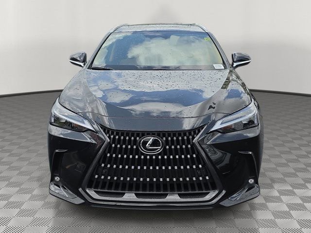 Used 2025 Lexus NX 250 FWD w/ Cold Area Package image 2