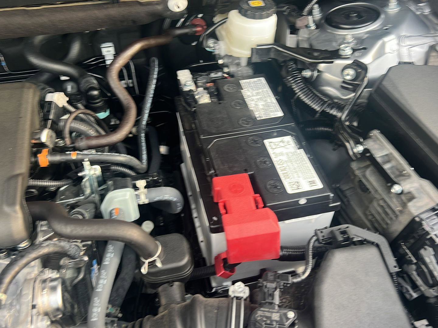 Certified 2025 Toyota RAV4 XLE Premium image 36