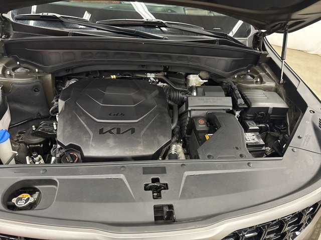 Used 2023 Kia Telluride SX Prestige X-Pro image 3