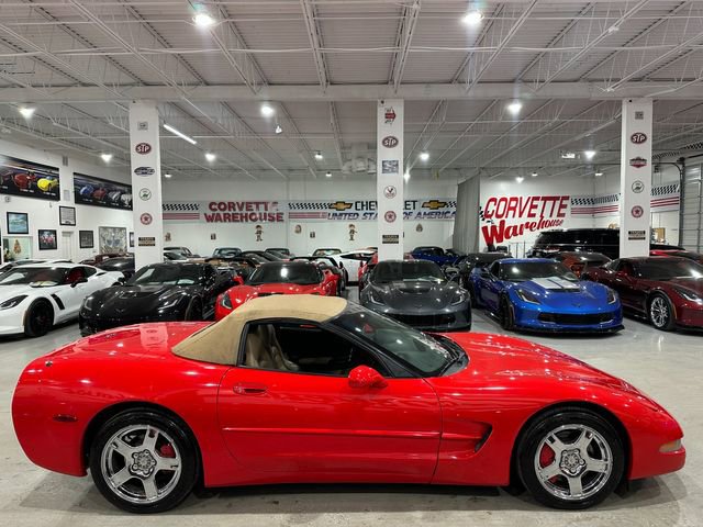 Used 1999 Chevrolet Corvette Convertible image 4