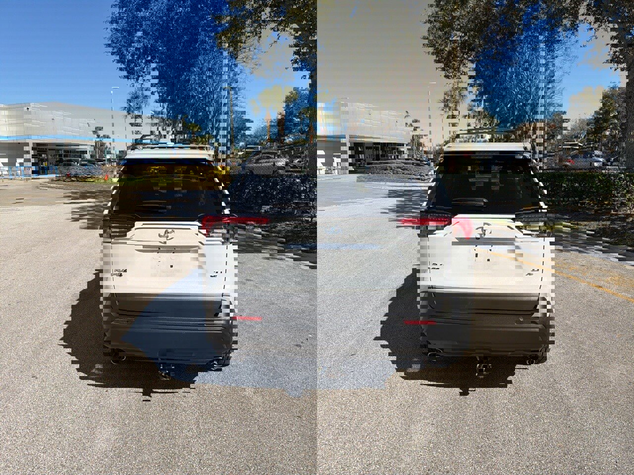 Used 2025 Toyota RAV4 XLE Premium image 4