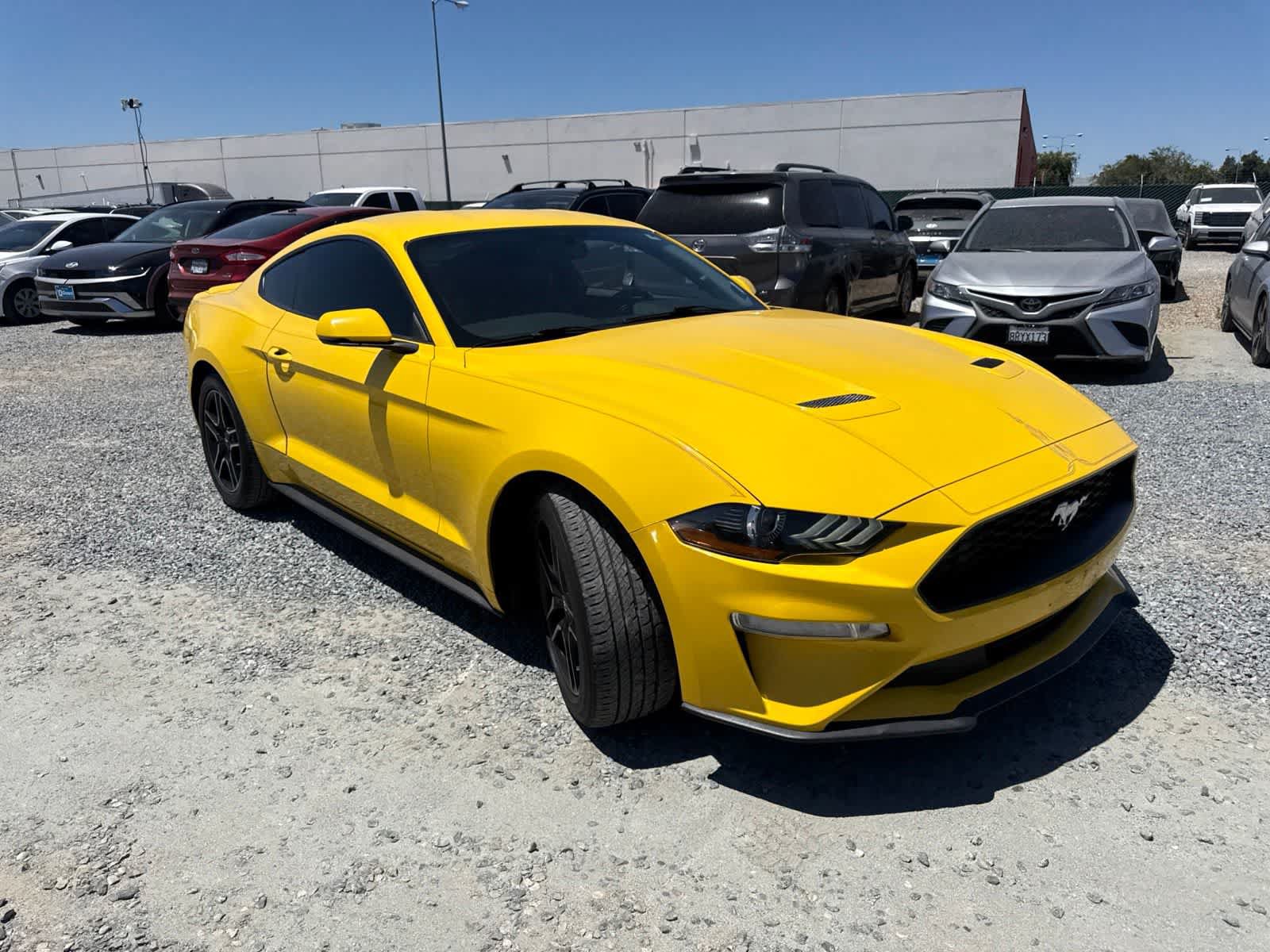 Used 2018 Ford Mustang Premium w/ Equipment Group 201A RWD image 3