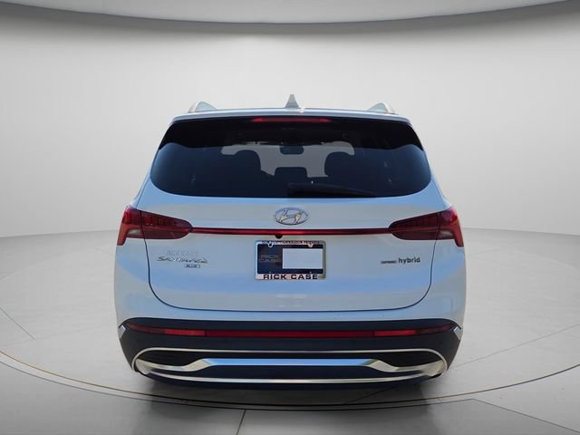 Used 2023 Hyundai Santa Fe Blue AWD/4WD image 5
