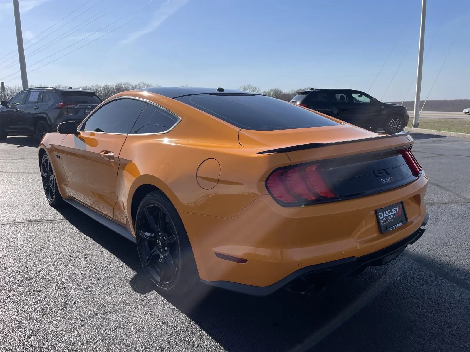 Used 2019 Ford Mustang GT w/ Equipment Group 301A image 12