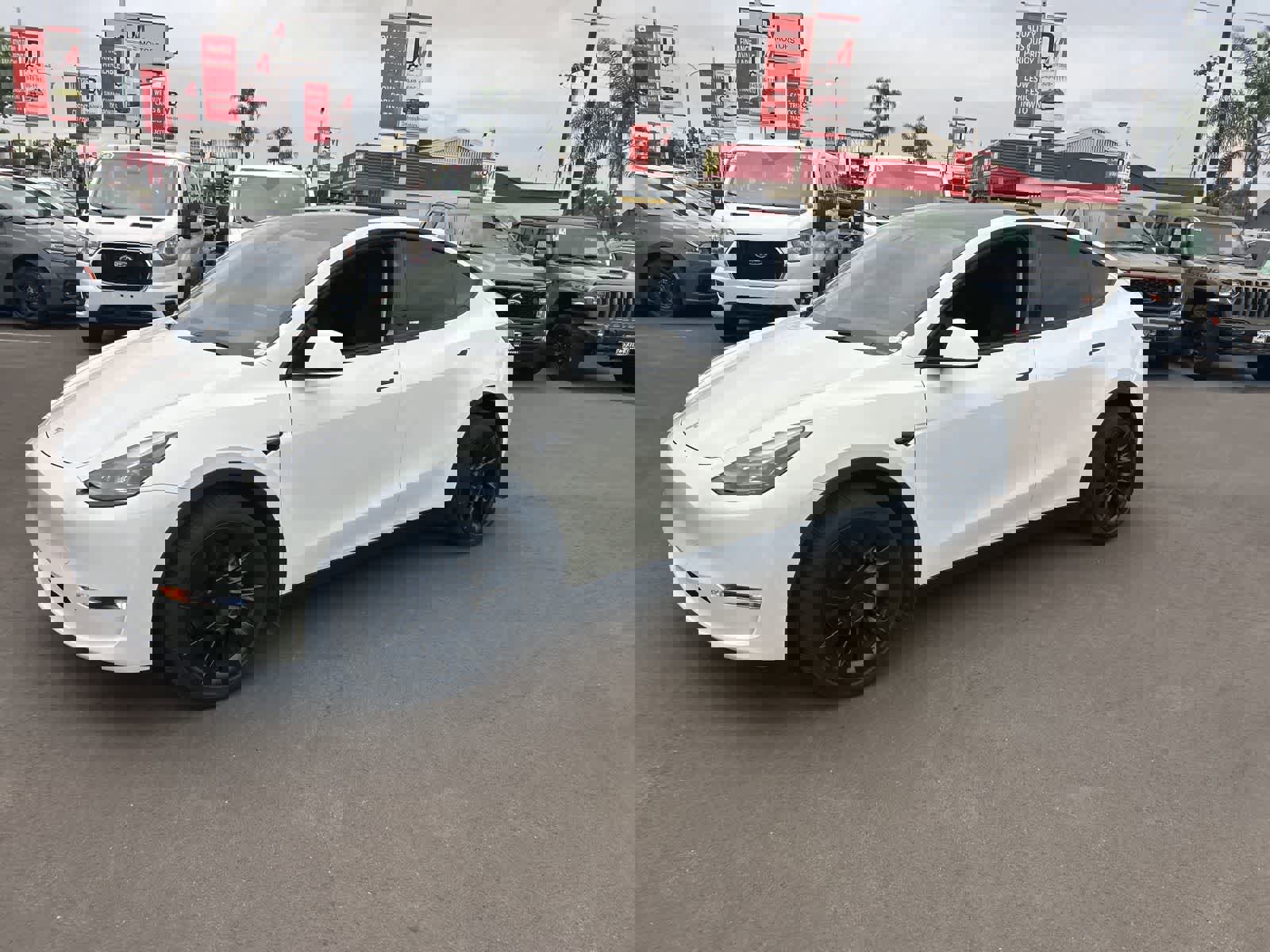Used 2024 Tesla Model Y Long Range image 3