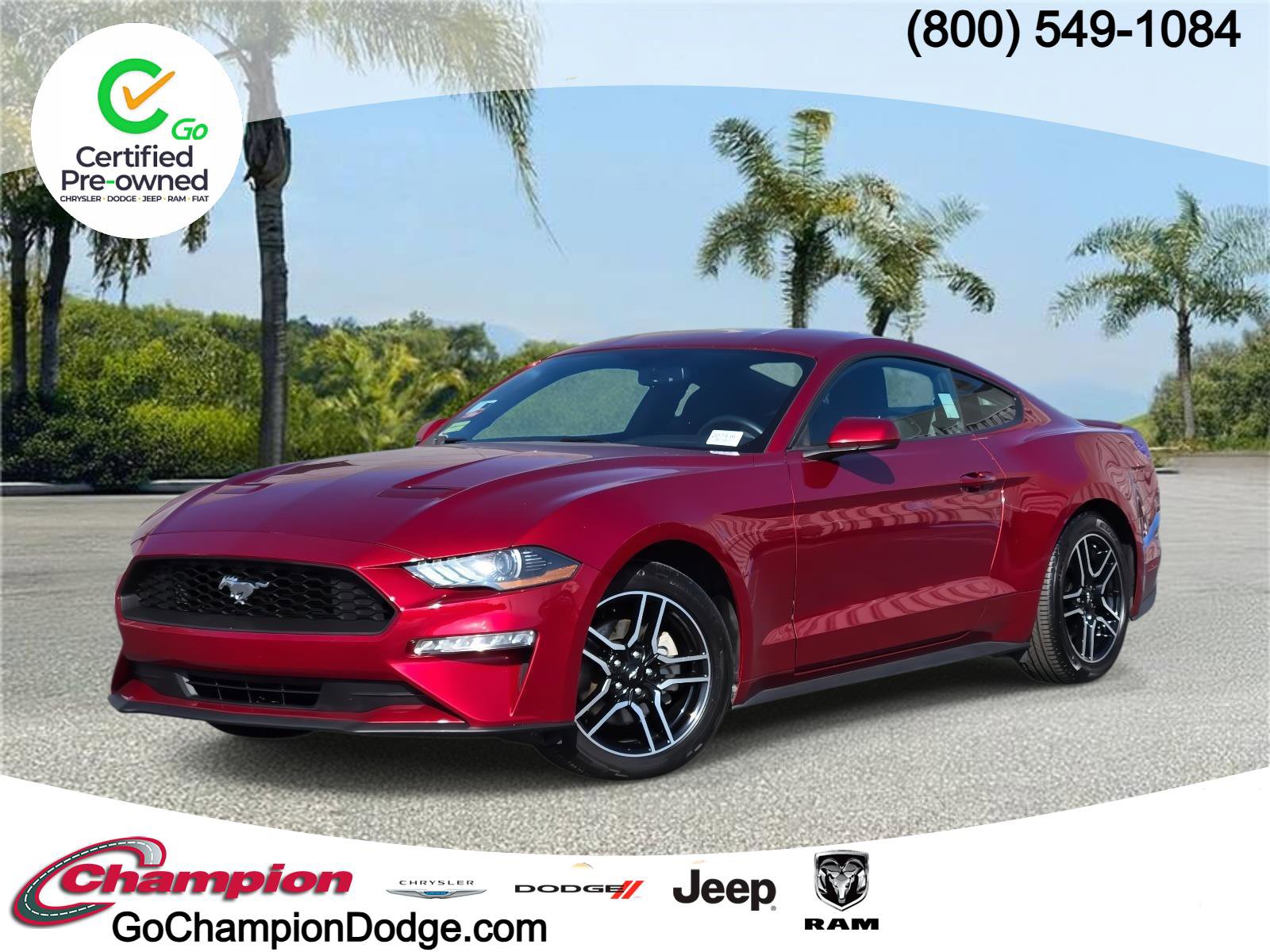Used 2019 Ford Mustang EcoBoost Fastback RWD w/ Equipment Group 101A