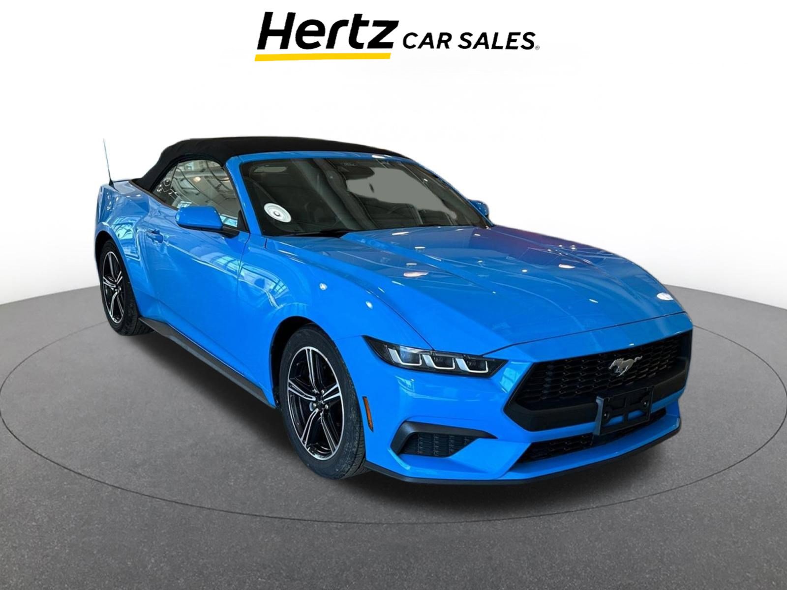 Used 2024 Ford Mustang Premium image 1