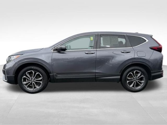 Used 2020 Honda CR-V EX-L image 5