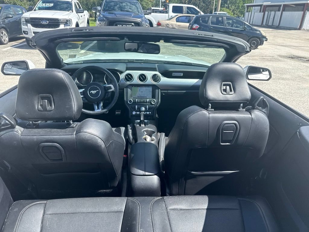 Used 2019 Ford Mustang Premium w/ Black Accent Package RWD image 5
