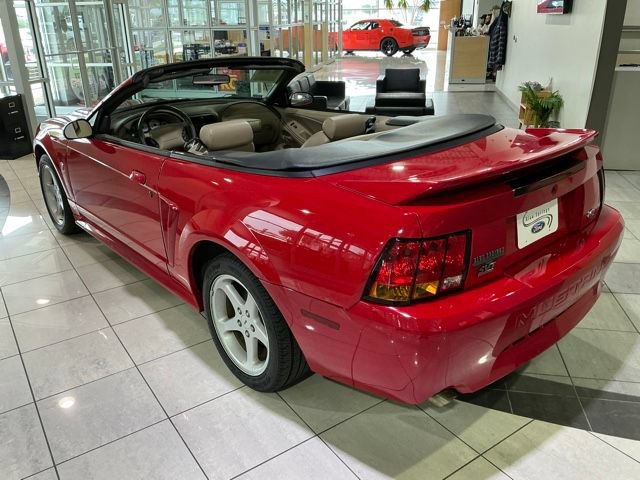 Used 1999 Ford Mustang Cobra RWD image 6