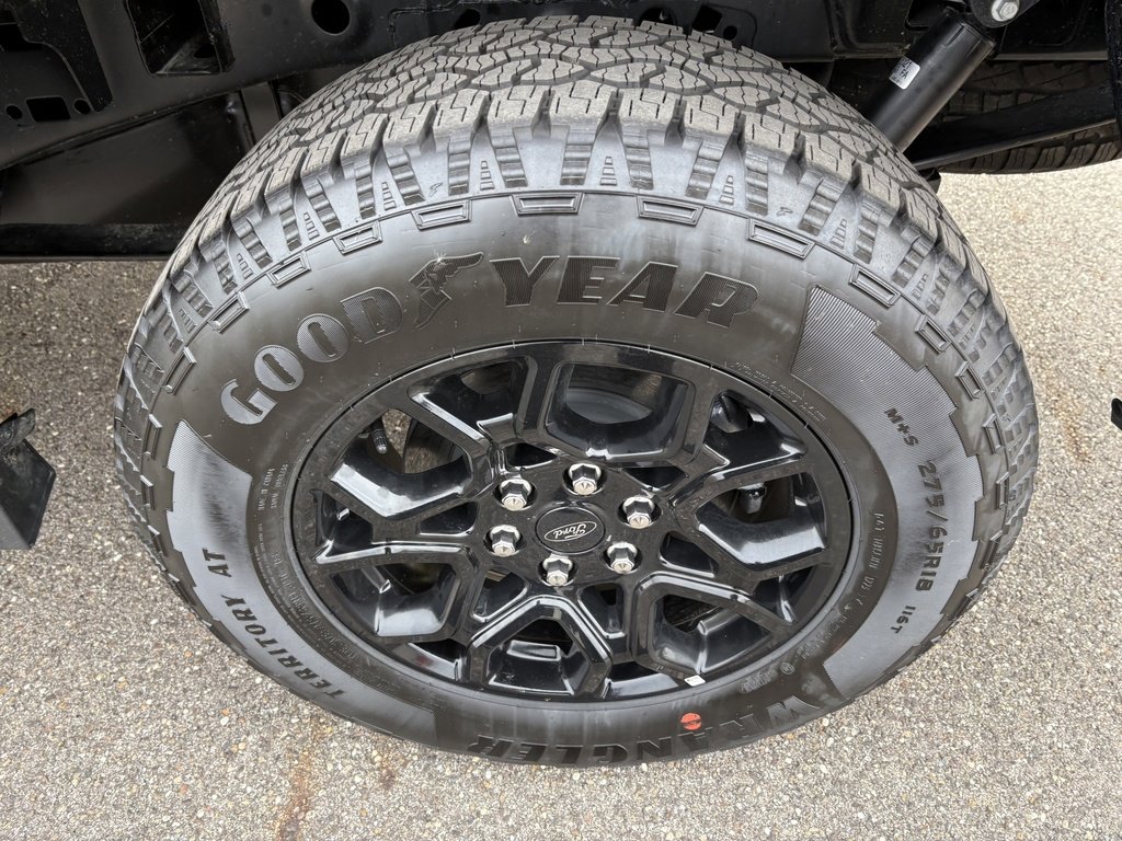 New 2025 Ford F150 XLT w/ Equipment Group 302A MID image 13