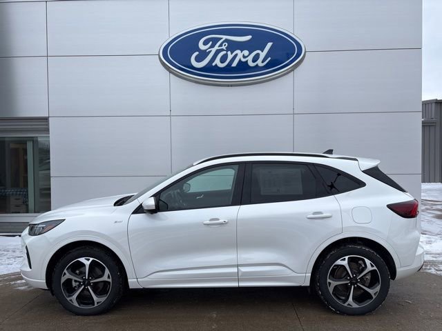 Certified 2024 Ford Escape ST-Line Elite image 2