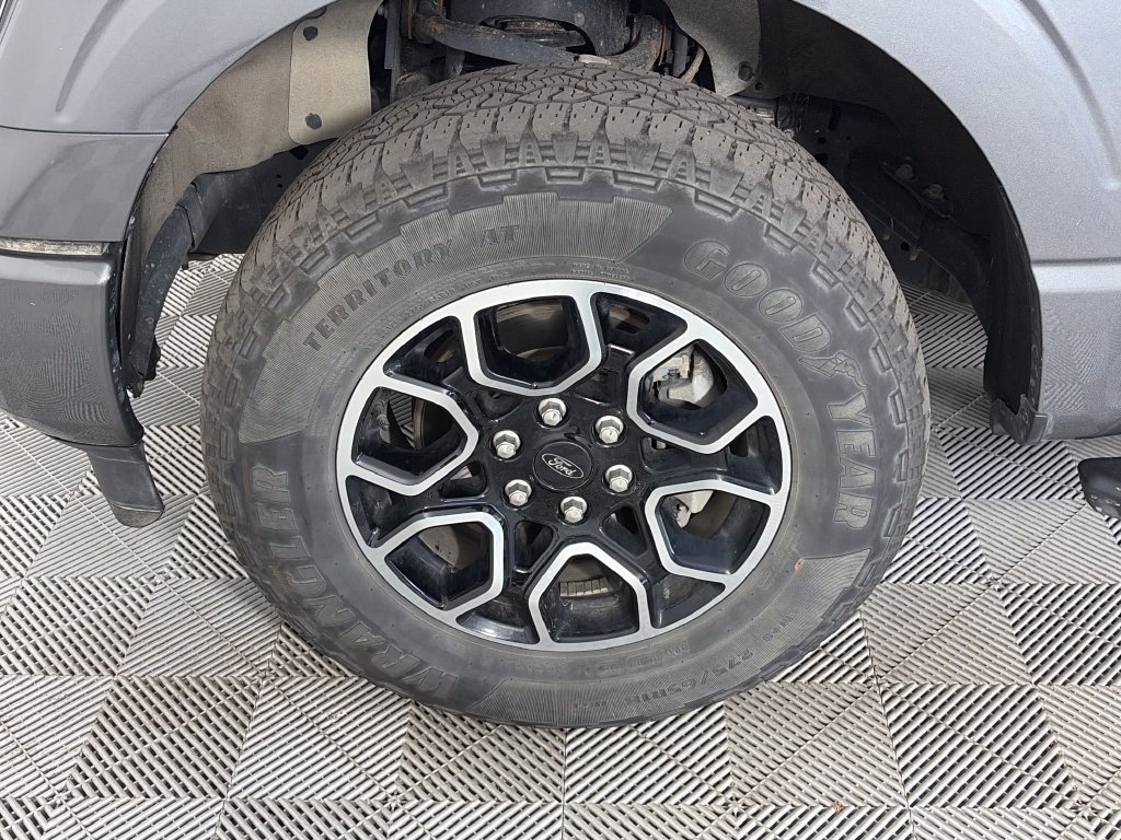 Used 2023 Ford F150 XLT w/ Equipment Group 302A High AWD/4WD image 8