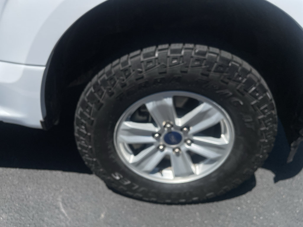 Used 2019 Ford F150 XLT w/ Equipment Group 301A Mid AWD/4WD image 11