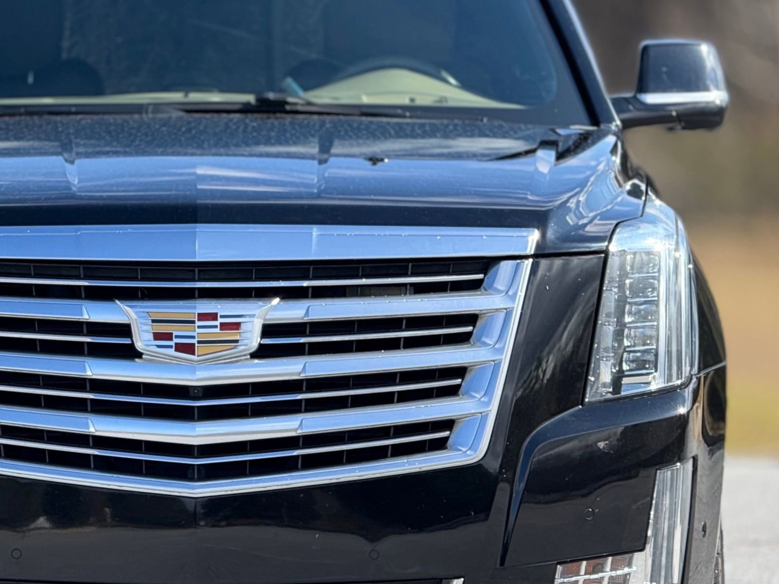 Used 2019 Cadillac Escalade Platinum image 14