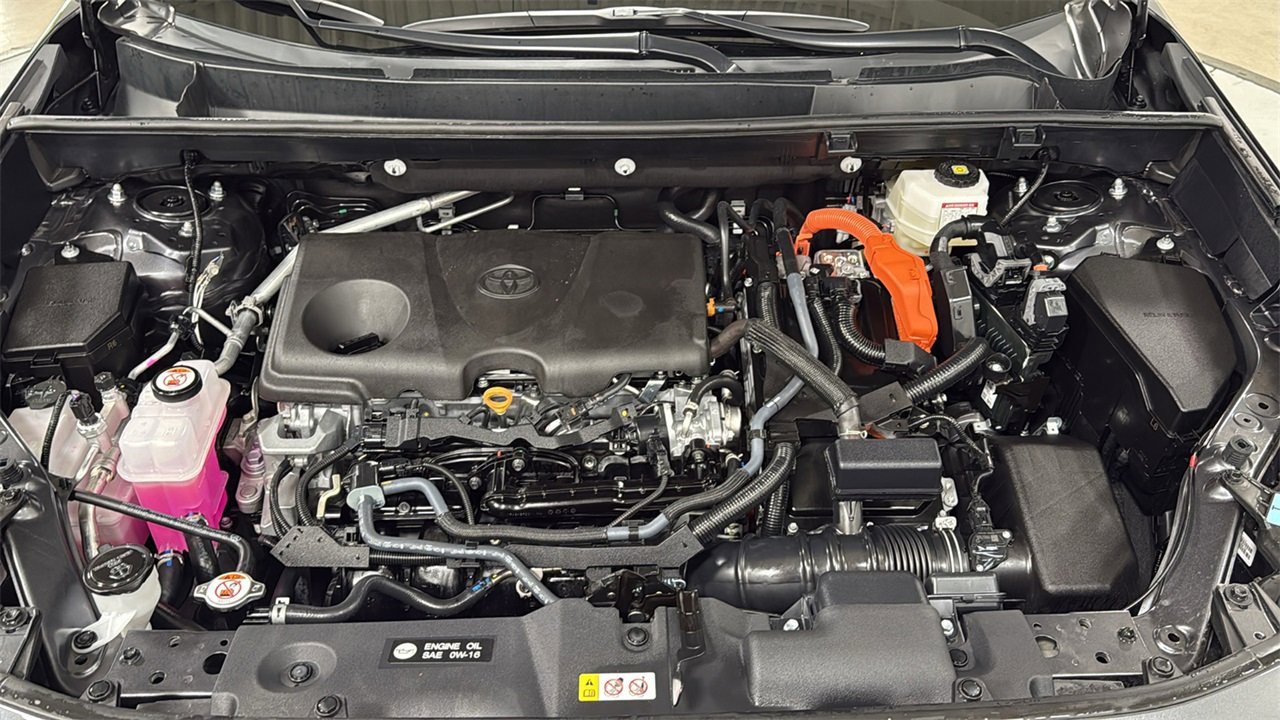 Certified 2025 Toyota RAV4 XLE image 25
