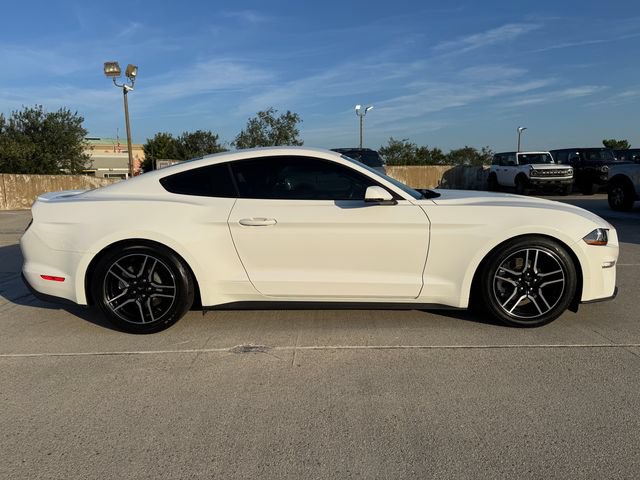 Used 2019 Ford Mustang Premium w/ Equipment Group 201A RWD image 4