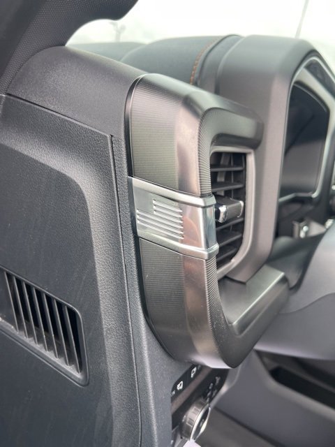 Used 2024 Ford F250 Platinum image 14