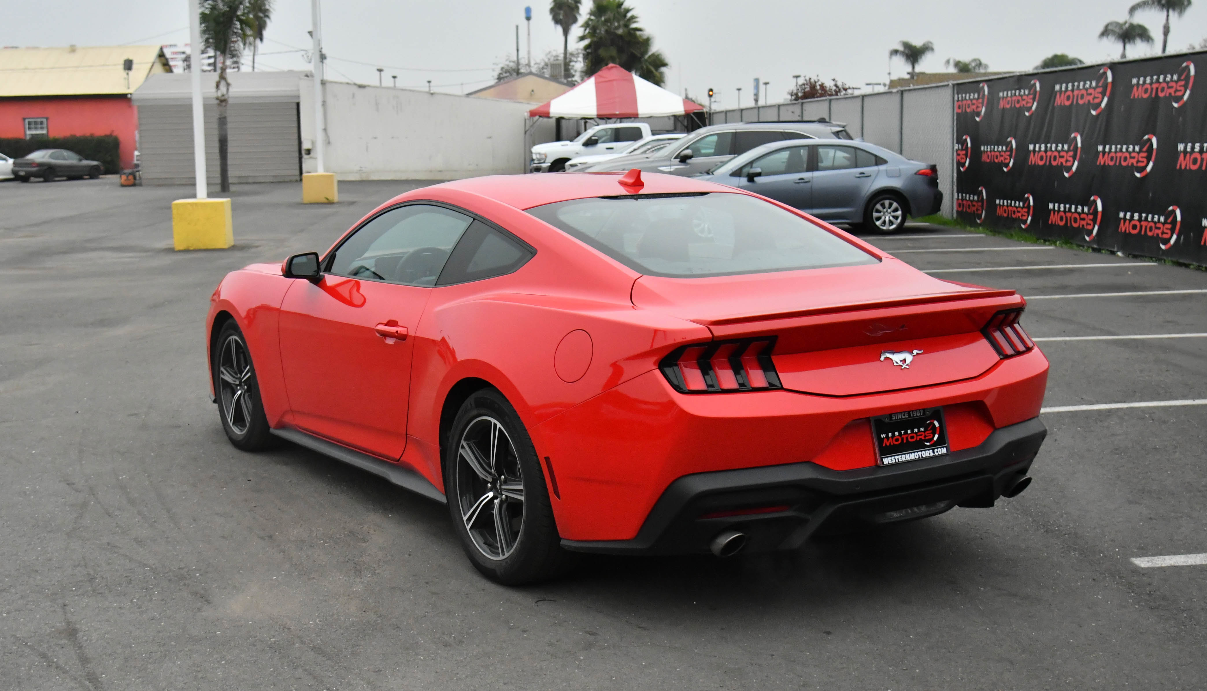 Used 2024 Ford Mustang Premium image 6