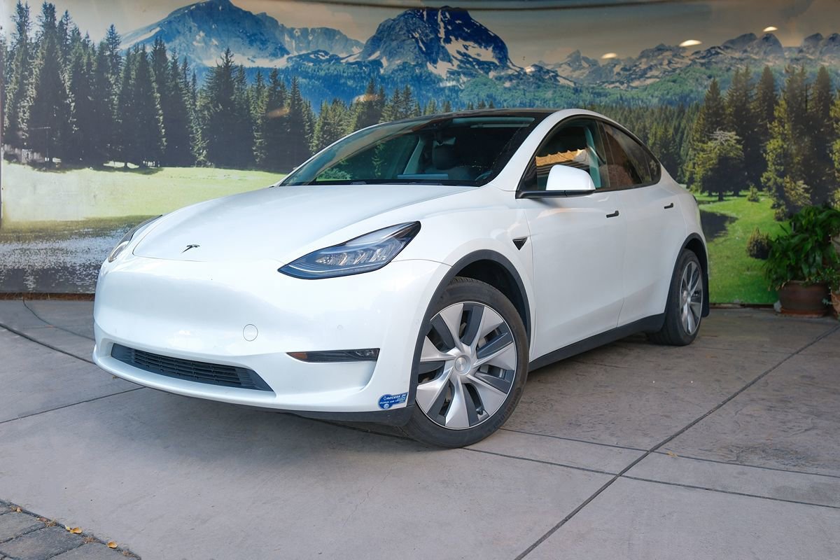 Used 2020 Tesla Model Y Long Range AWD/4WD image 1