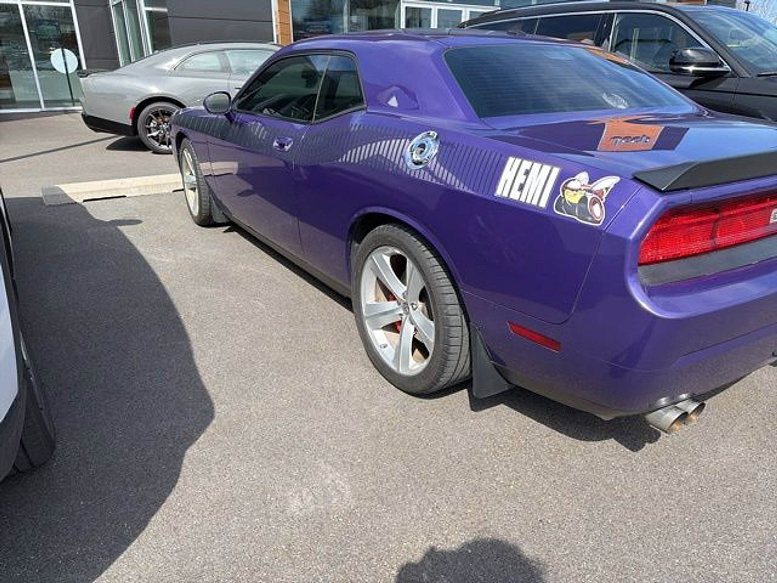 Used 2010 Dodge Challenger SRT8 w/ Plum Crazy Group image 2