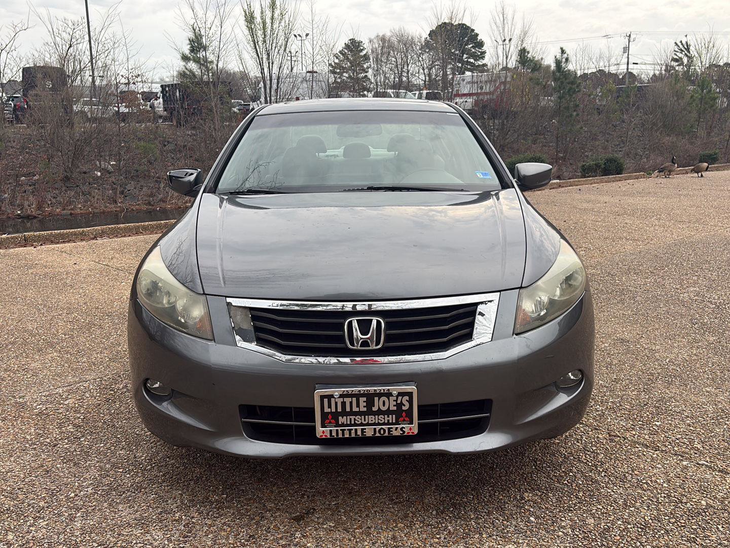 Used 2008 Honda Accord EX-L image 14