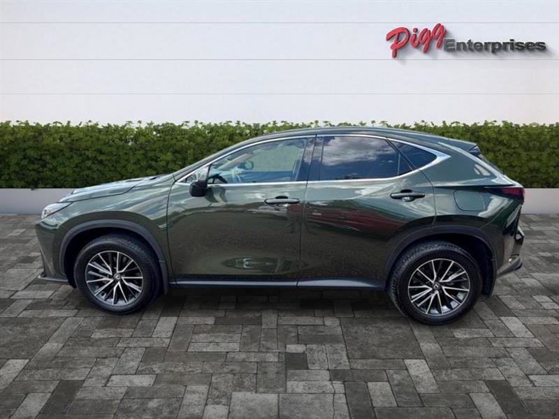 Used 2024 Lexus NX 350 AWD w/ Cold Area Package image 4