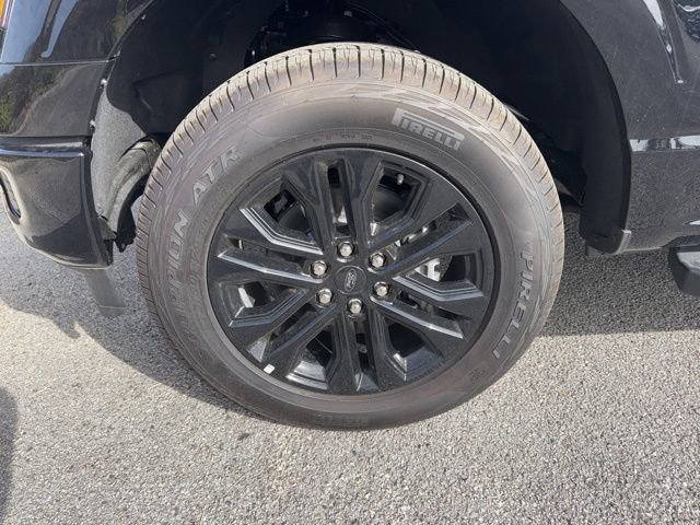 Used 2025 Ford F150 XLT w/ Equipment Group 302A MID image 9