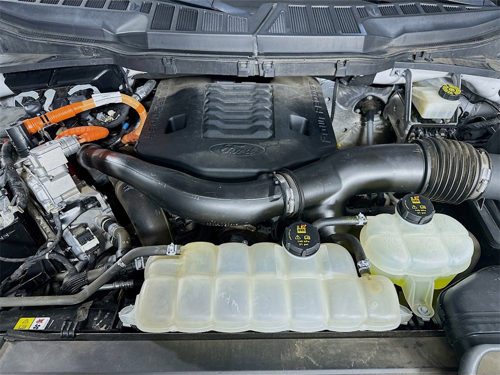 Used 2022 Ford F150 XLT w/ Equipment Group 302A High image 32