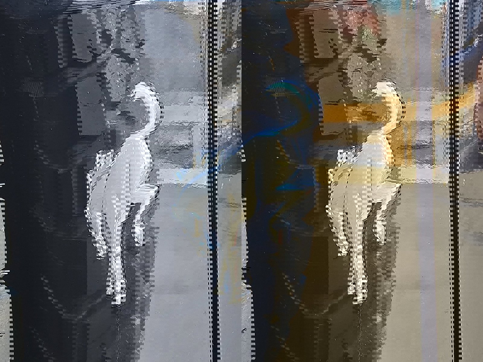 Used 2022 Ford Bronco Badlands image 31