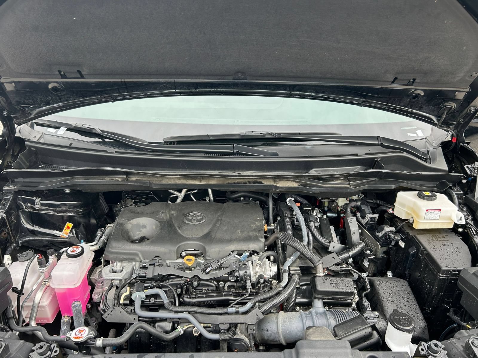 Used 2025 Toyota Sienna XLE FWD image 29